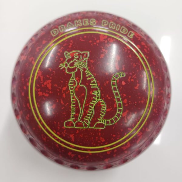 DP Professional | 3H | Maroon/Red W3 4861