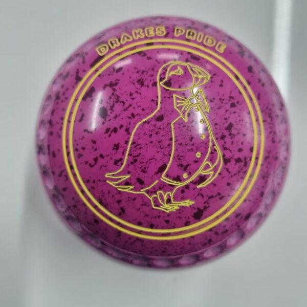 DP Professional | 1H | Pink/Magenta Y3 9793